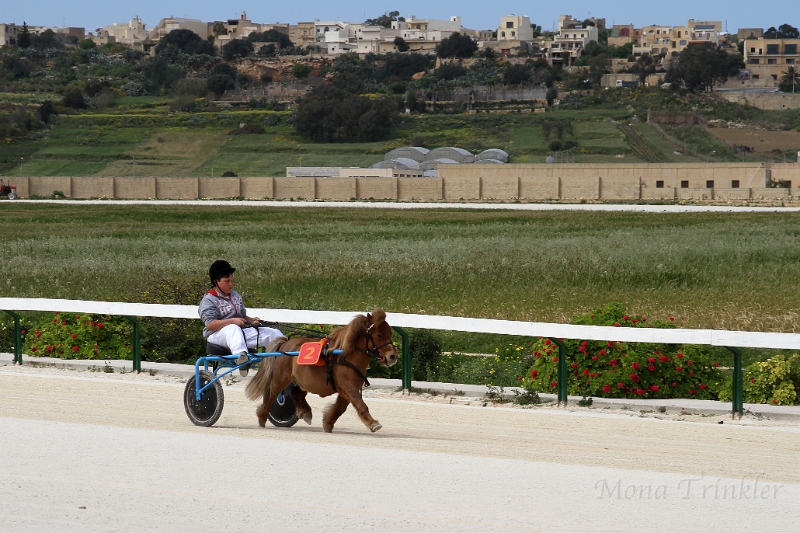 2015_Race 1 - 03.JPG